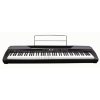 BEALE DP300 Portable Digital Stage Piano with 88 Keys in Black 830510