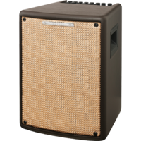 IBANEZ TROUBADOUR T80IISM-S 80 Watt Acoustic Combo Amp
