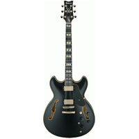 IBANEZ SIGNATURE JOHN SCHOFIELD JSM20 6 String Hollow Body Electric Guitar in Black with Case