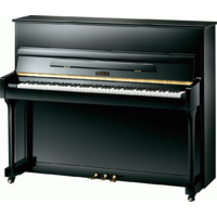 BEALE UP118M2 118cm Upright Piano in Ebony 939781