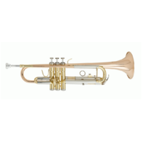 BEALE TR200 B Flat Trumpet Brass Body and Rose Brass Bell with Case 655800