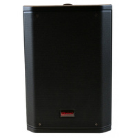 SMART SM6 200 Watt Acoustic Multiprupose Portable PA