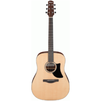 IBANEZ AAD50 LG AC 6 String Dreadnought Guitar in Low Gloss