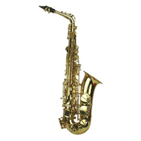 STEINHOFF KSO-AS2-GLD Student Alto Saxophone in Gold Lacquer with Case
