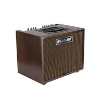 STRAUSS SAA-T60-WN 60 Watt Acoustic Guitar Combo Amplifier with Effects in Walnut