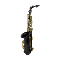 STEINHOFF KSO-AS20-BLK Intermediate Alto Saxophone in Black and Gold with Case
