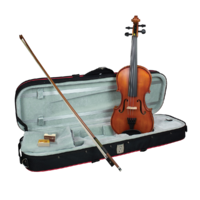 HIDERSINE H1012VN14U 1/4-Size Student Violin Outfit with Setup