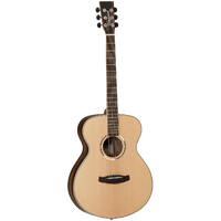 TANGLEWOOD DISCOVERY EXOTIC 6 String Folk Acoustic Guitar in Spruce
