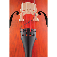 KNA DB-1 Double Bass Pickup KNADB1