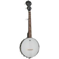 TANGLEWOOD TWBT Traveller 5 String Banjo with Linden Sides