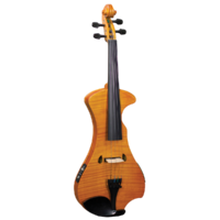 HIDERSINE HEV2U Electric Violin Including Setup