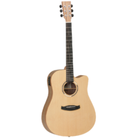 TANGLEWOOD DISCOVERY EXOTIC 6 String Dreadnought/Electric Cutaway Guitar with Spruce Top