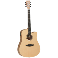 TANGLEWOOD DISCOVERY EXOTIC 6 String Acoustic/Electric Dreadnought Guitar with Cutaway Spruce Top