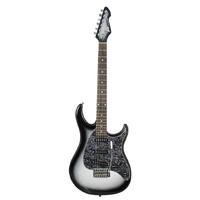 PEAVEY RAPTOR CUSTOM PVRAPCUSSILV 6 String Electric Guitar in Silverburst