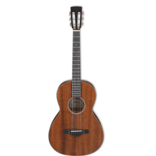 IBANEZ ARTWOOD AVN9 6 String Parlour Acoustic Guitar in Vintage Natural Open Pore