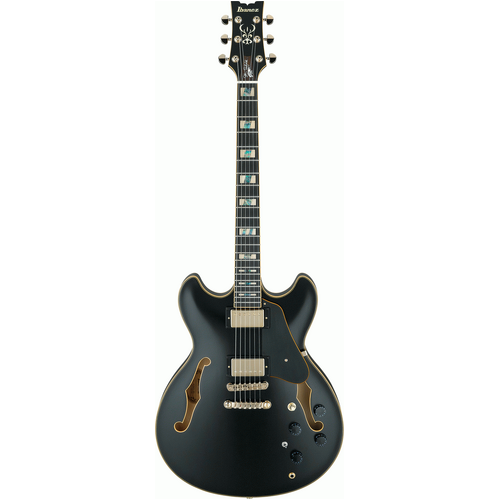 IBANEZ SIGNATURE JOHN SCHOFIELD JSM20 6 String Hollow Body Electric Guitar in Black with Case