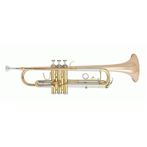 BEALE TR200 B Flat Trumpet Brass Body and Rose Brass Bell with Case 655800