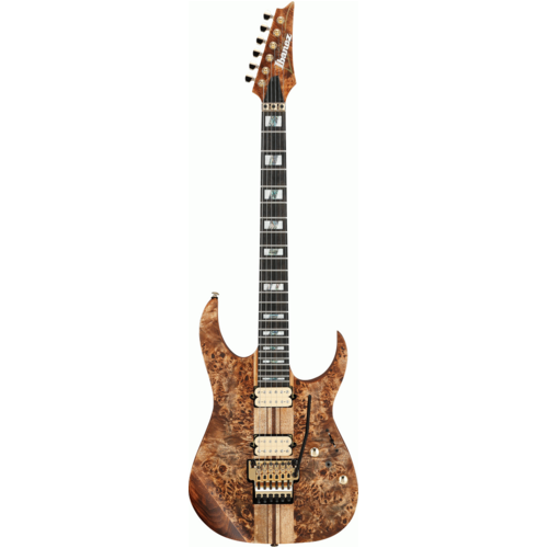 IBANEZ RGT1220PB ABS 6 String Electric Guitar with Gig Bag in Antique Brown Stained Flat