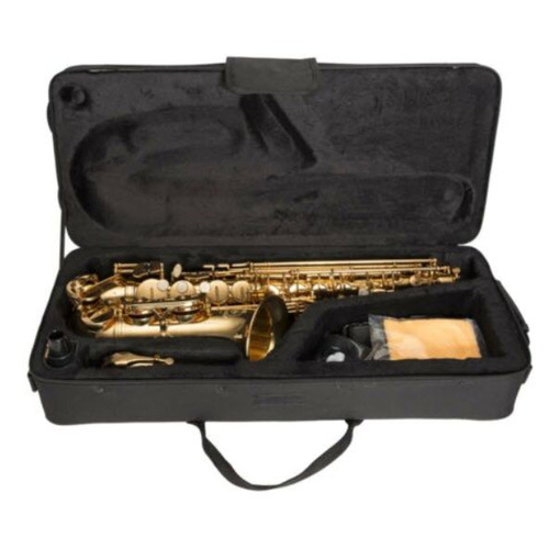 STEINHOFF KSO-AS10-GLD Advanced Student Alto Saxophone in Gold Lacquer with Case