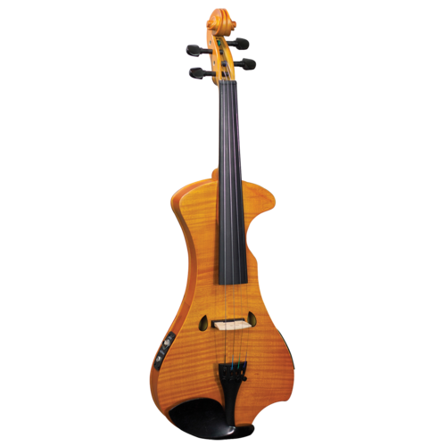 HIDERSINE HEV2U Electric Violin Including Setup
