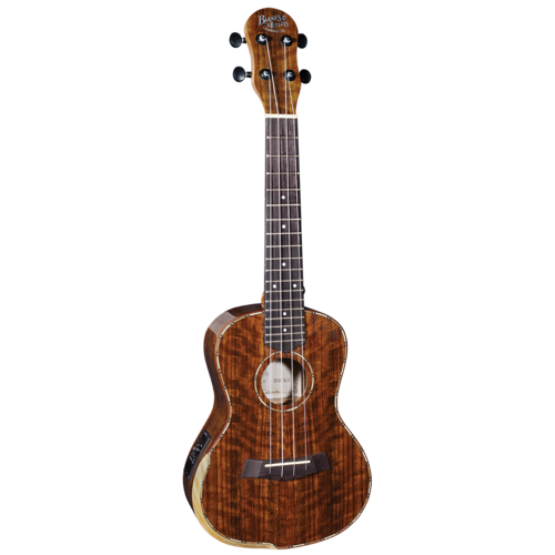 BARNES & MULLINS BMUK5CE Concert Ukulele in Walnut with Pickup